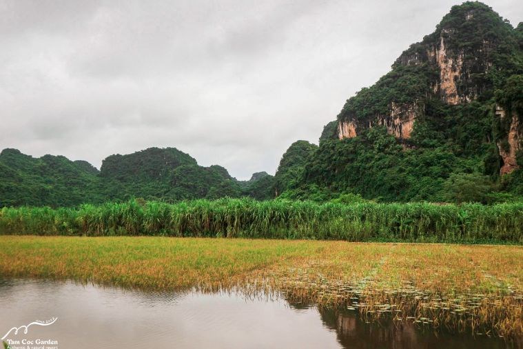 Mountain Verandah Chamber